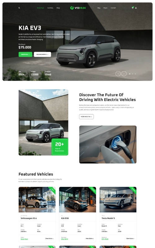 Electric Car Website